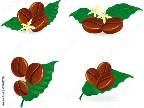 Grains of coffee with foliage and flowers.