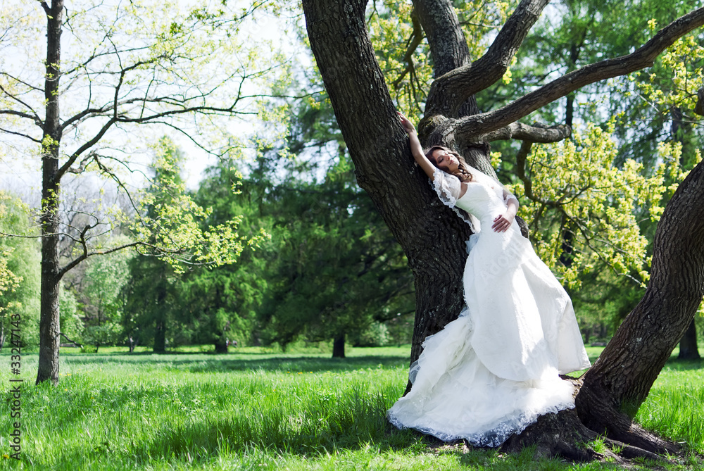beautiful young bride leaned against a tree in the park beautiful young bride leaned against a tree in the park
