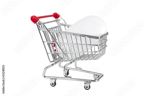 mouse in a shopping trolley © barneyboogles