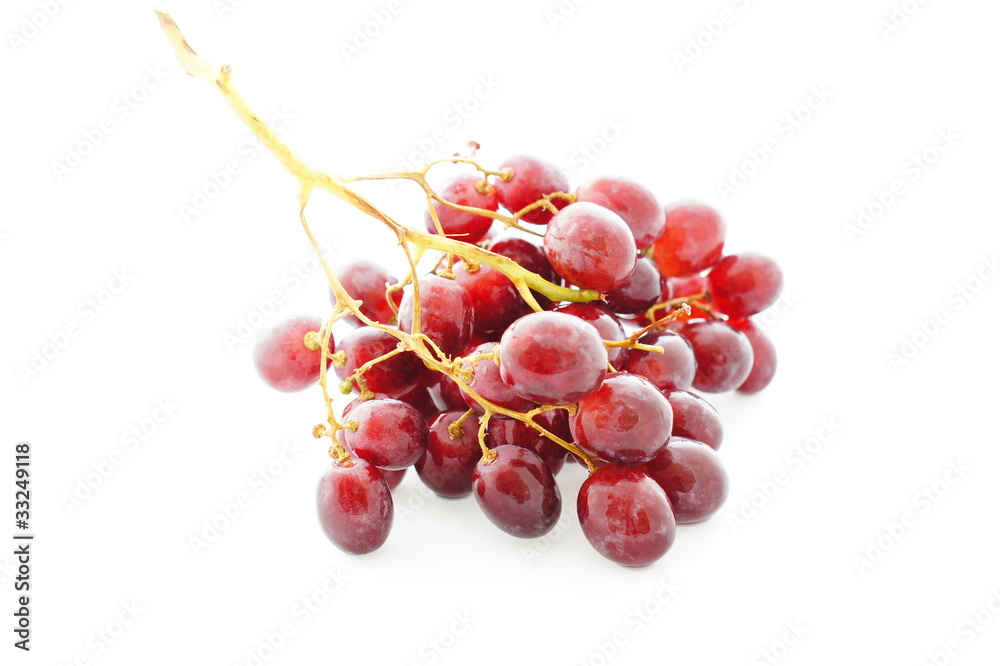 Fototapeta premium SONY DSC