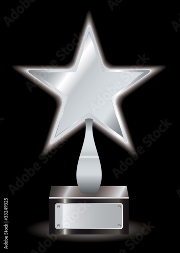 Silver star award trophy