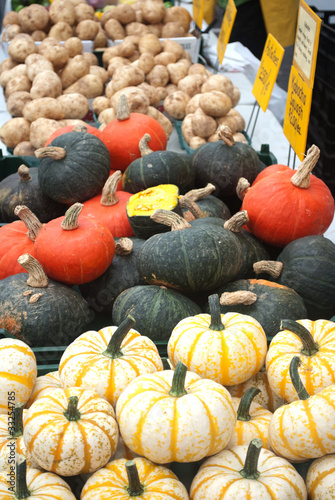 Pumpkins and Gourds for Sale at the Farmer's Market