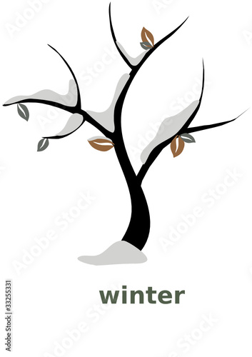winter