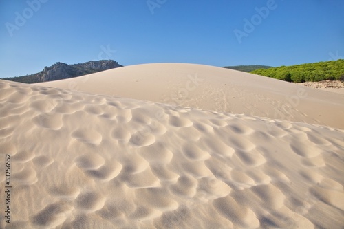 multiple dunes