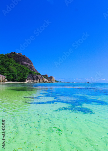 Tranquility Palms Shore