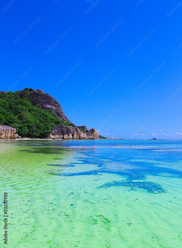 Summertime Bay Landscape