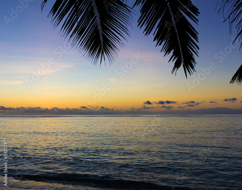Palms Sunset Skyline