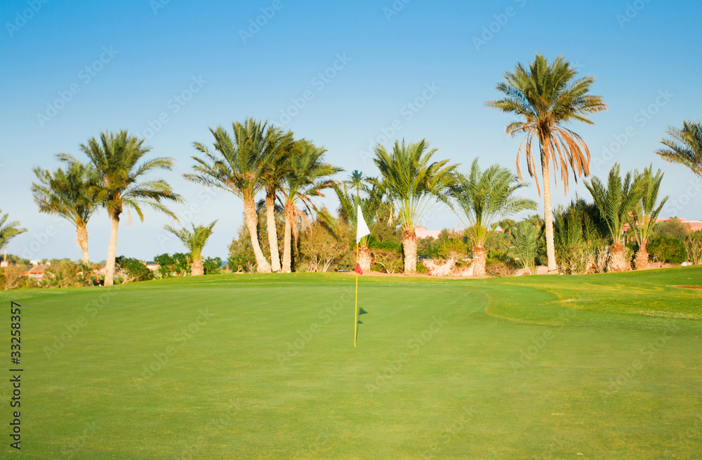 Golf Landscape Palms Under Sun