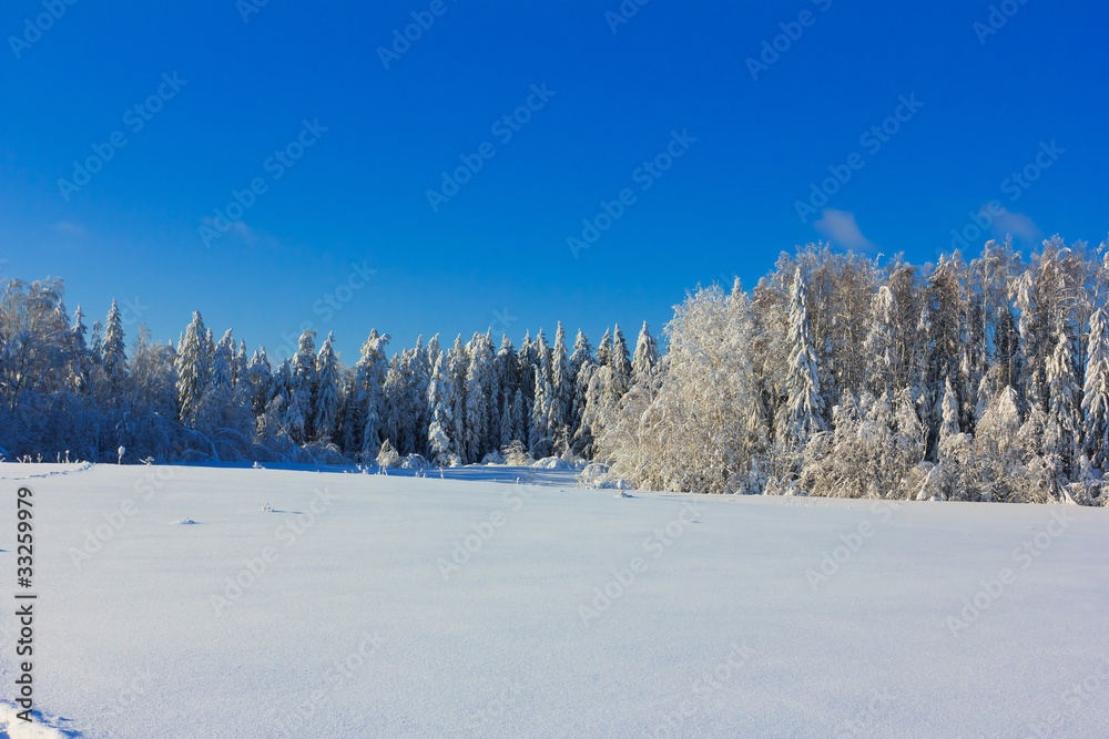 A Symphony of Cold A Symphony of Cold