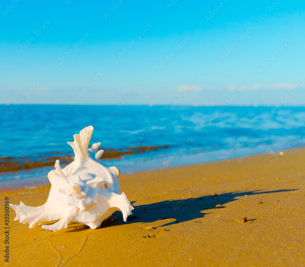 Object Landscape Shell Object Landscape Shell