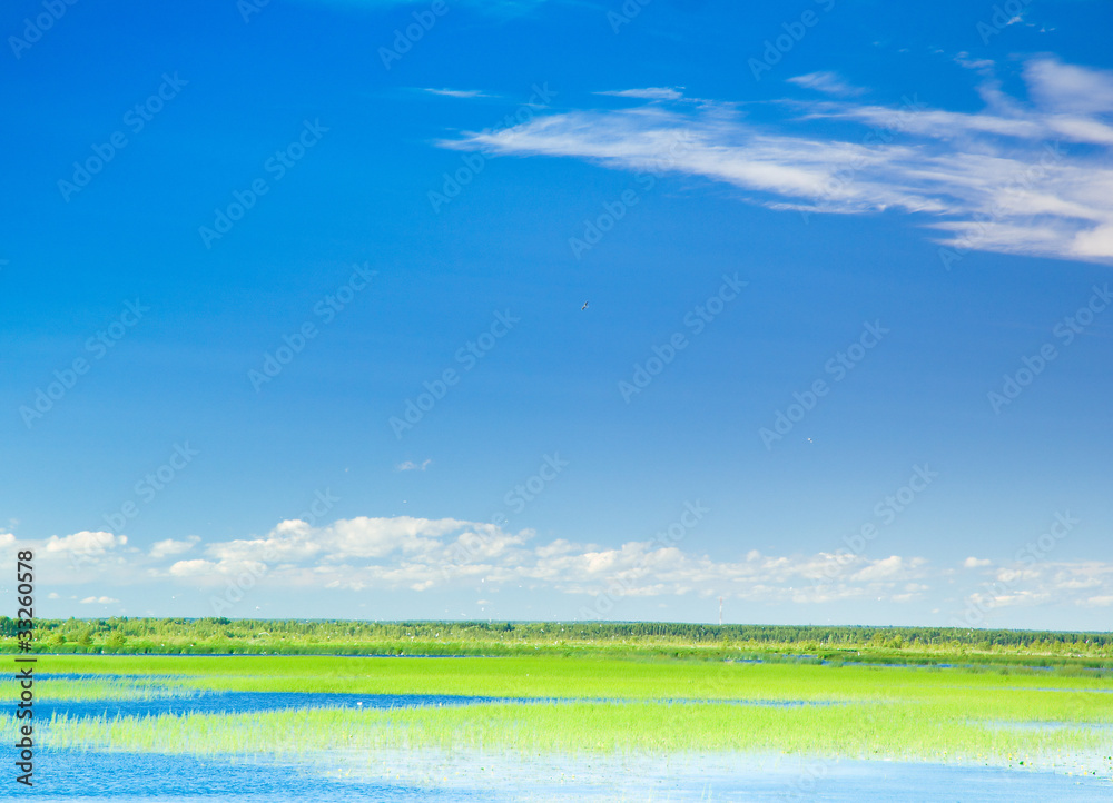 Wallpaper Water Landscape