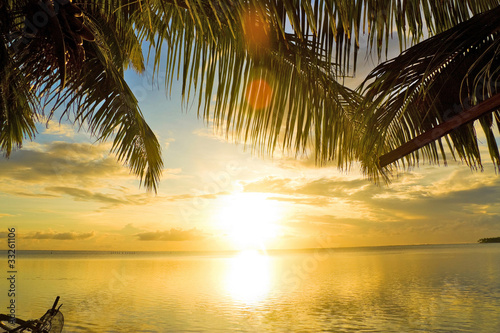 Palm Paradise Outdoor
