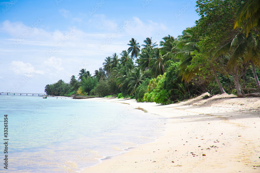 Landscape Beach View