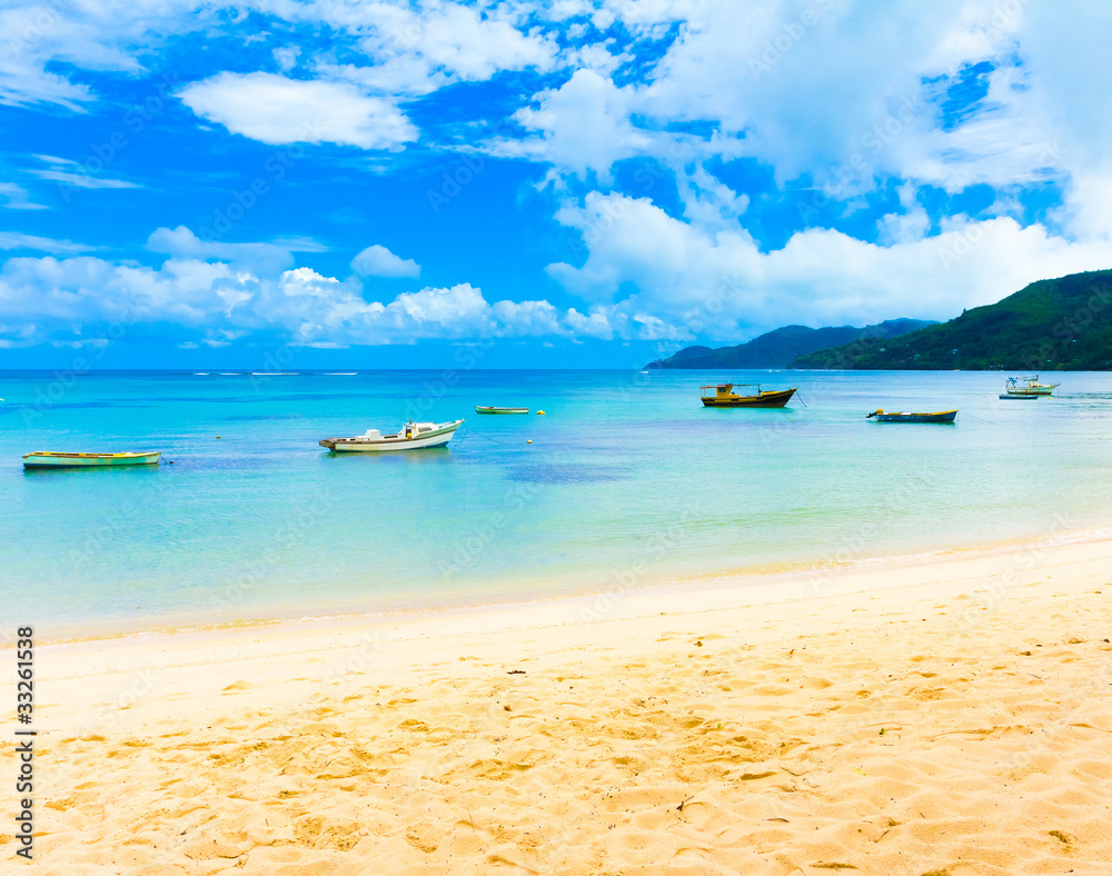 Fototapeta premium Jungle Shore Panorama