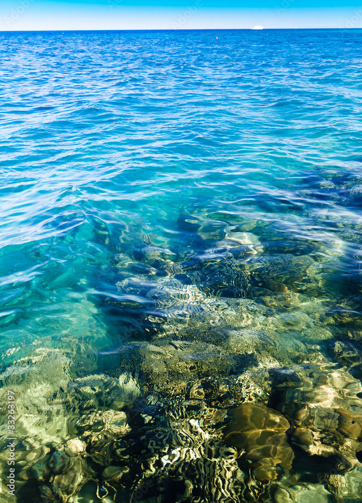 Fototapeta premium Warm Coral Sea