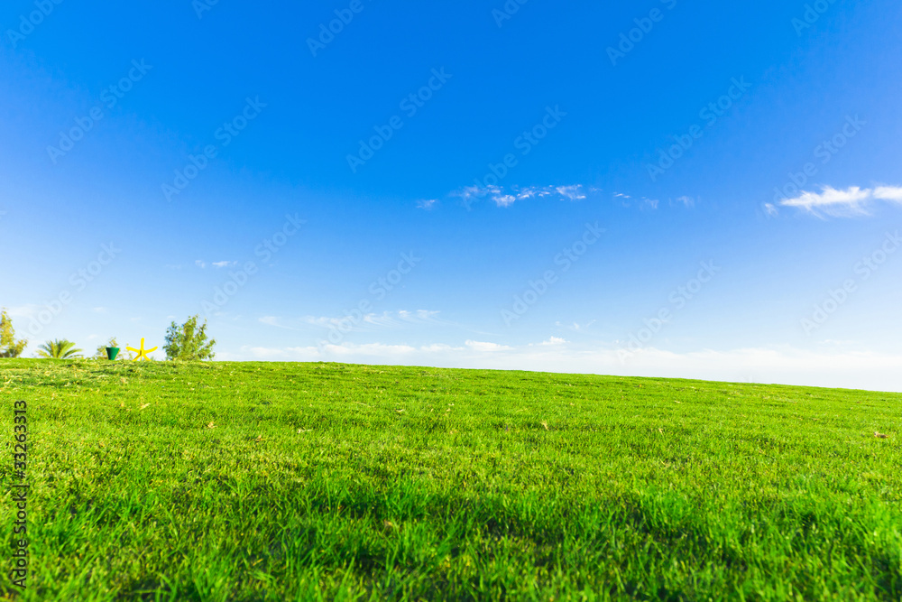 Perfect Grass Area