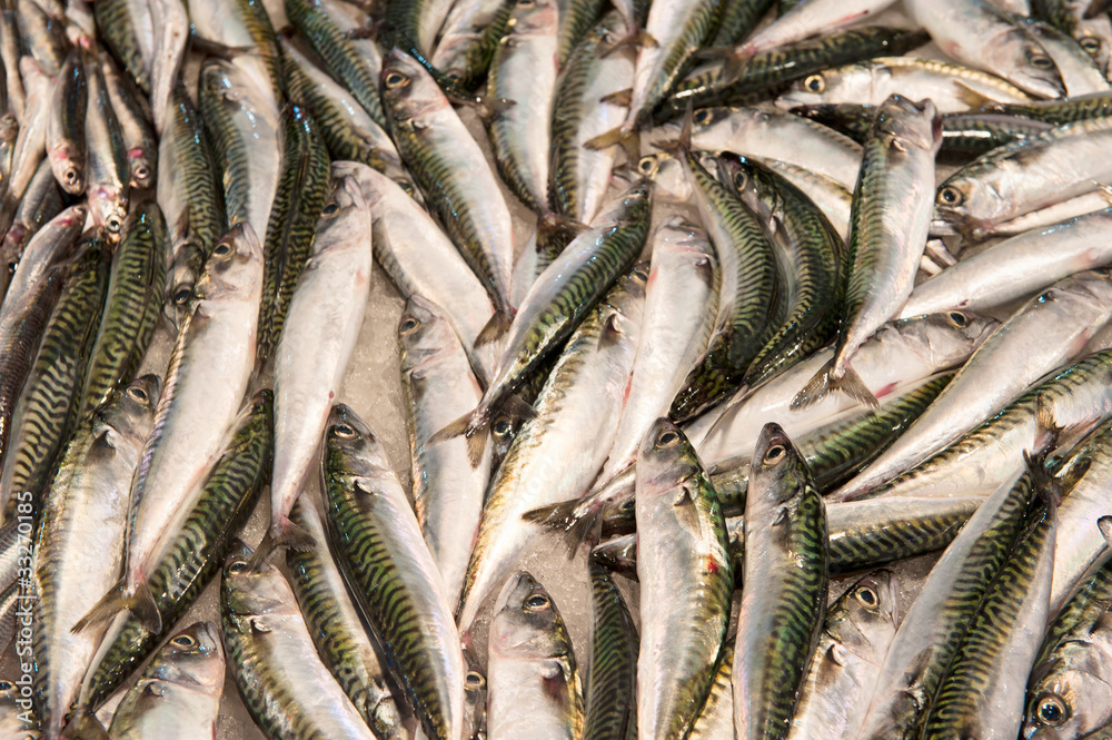 Fototapeta premium fresh fish at a fish market