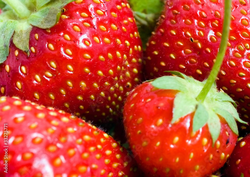 Fresh and sweet strawberries in the basket