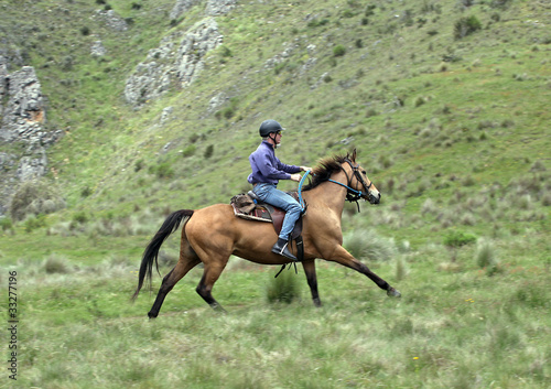 man and horse