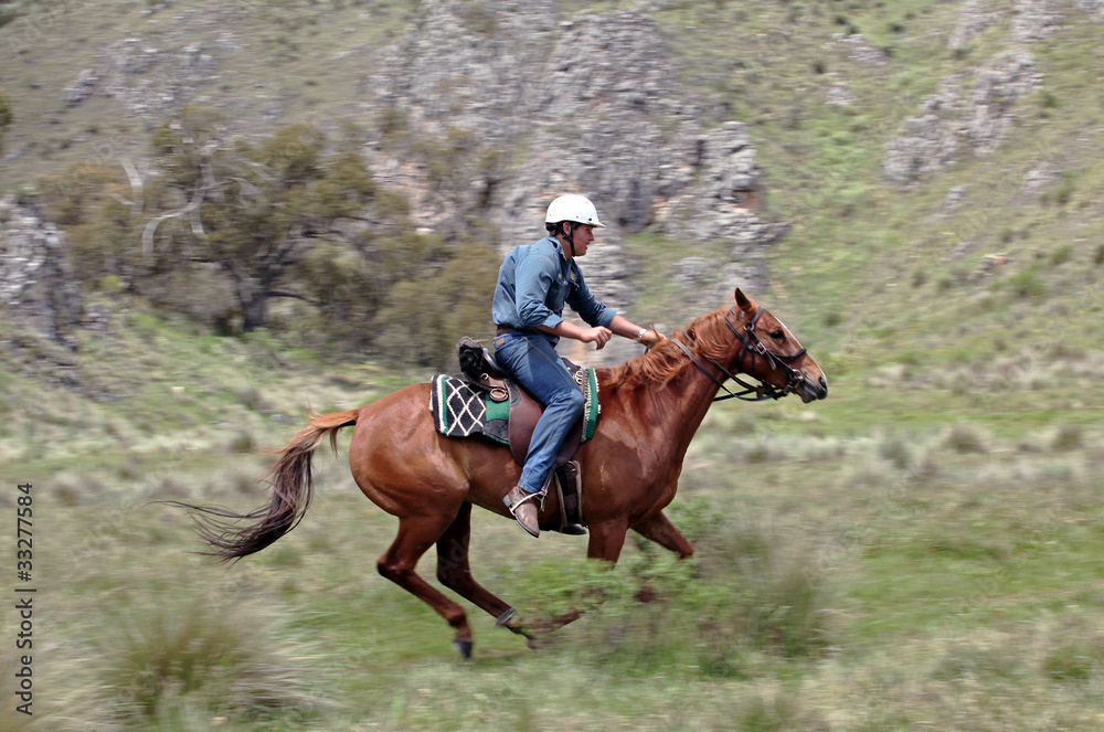 man and horse man and horse