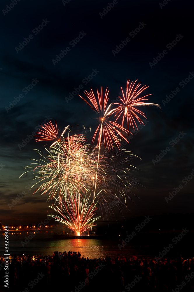 Brightly colorful fireworks  in the night sky