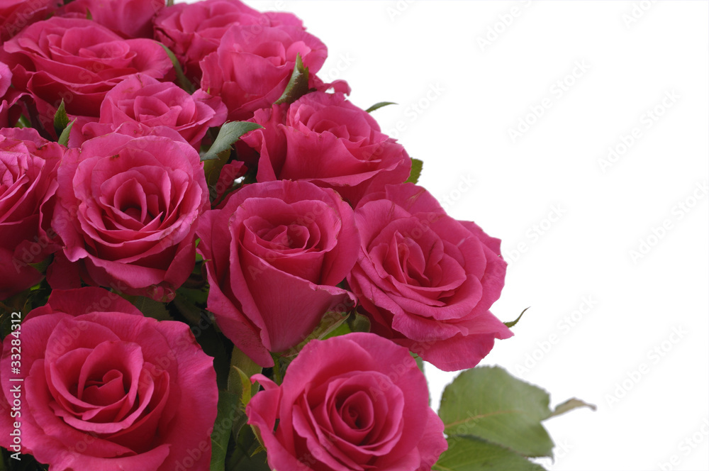 Beautiful Red Roses (with sample text) Beautiful Red Roses (with sample text)