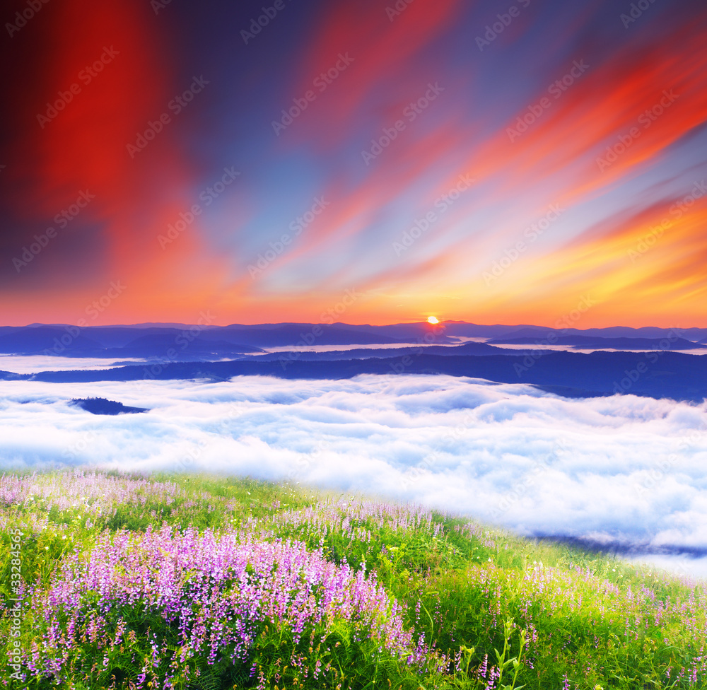 Fototapeta premium sunset is in mountains