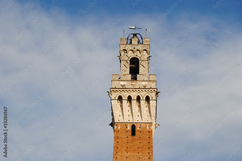 Obraz premium siena