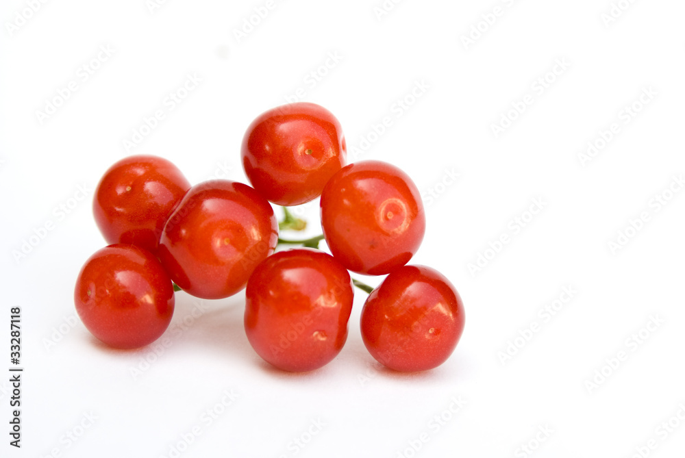 вишня вишня