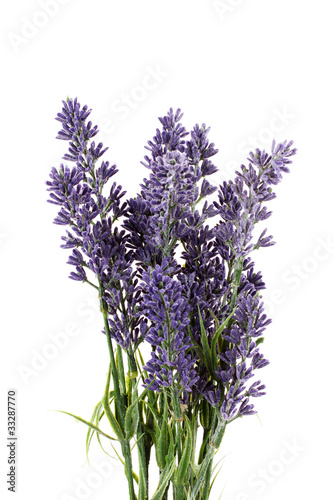 Beautiful lavender flowers isolated on white