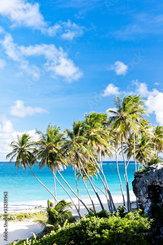 Fototapeta Naklejka Na Ścianę i Meble -  Bottom Bay, Barbados, Caribbean