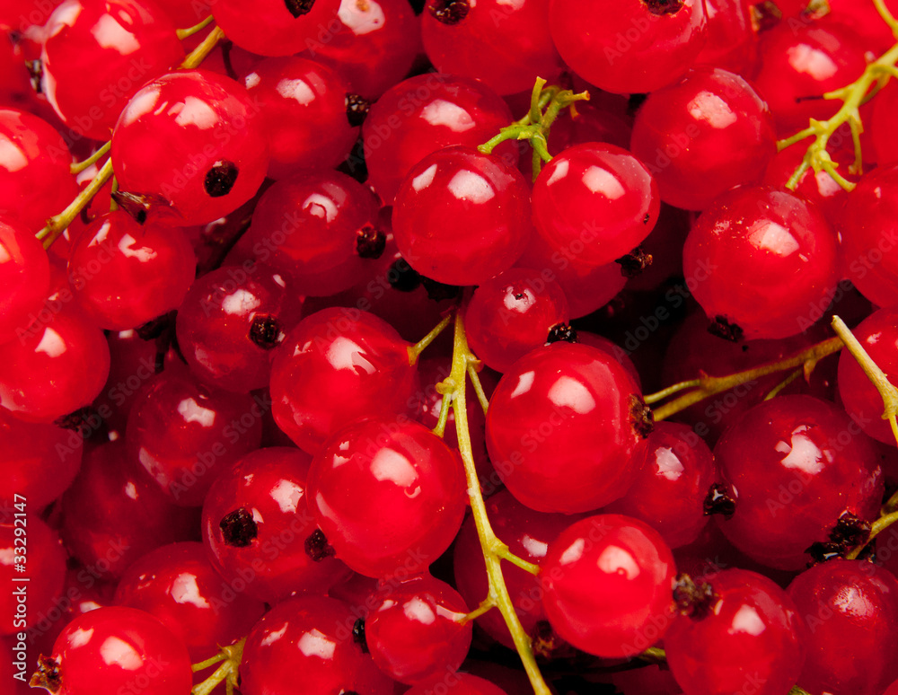 berries of a red currant. Red currant berry close up berries of a red currant. Red currant berry close up