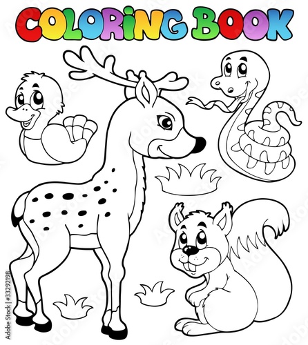 Coloring book with forest animals 2