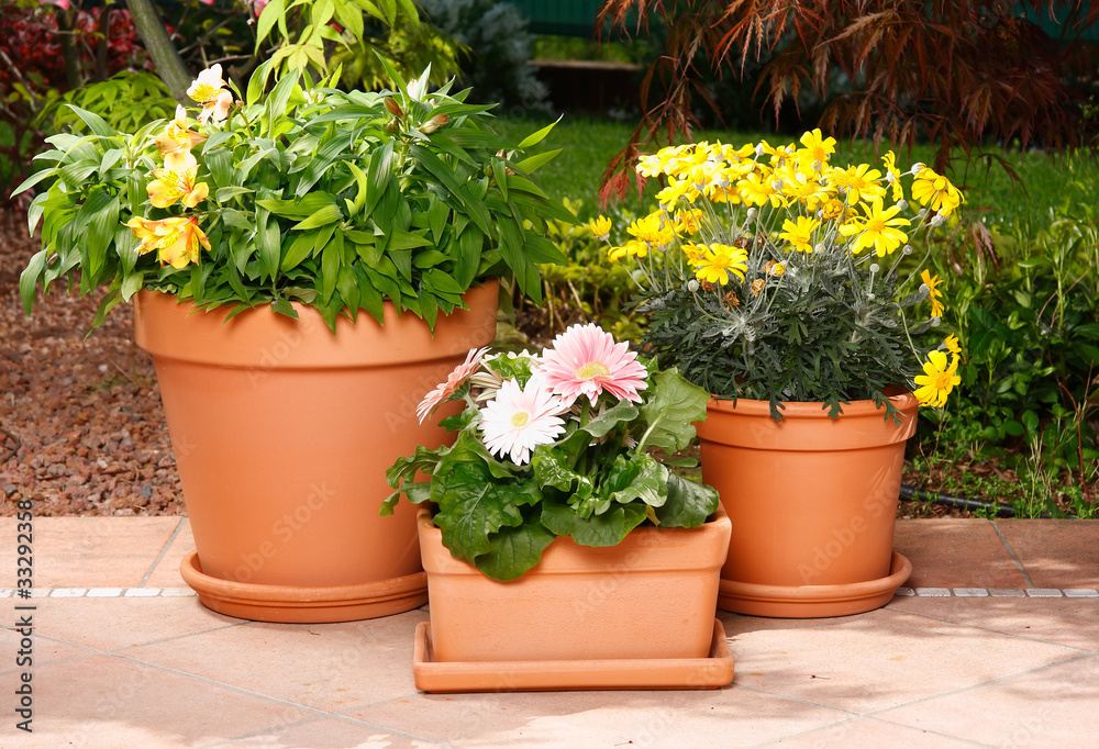 Vasi in terracotta con fiori
