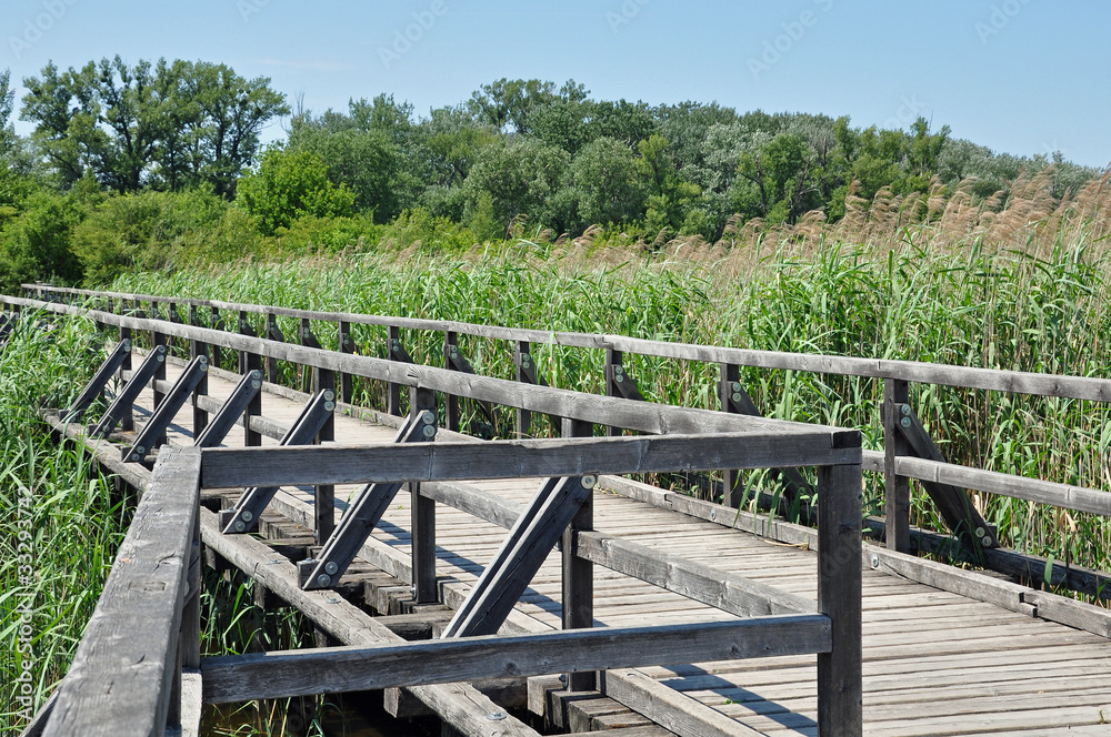 holzbrücke holzbrücke