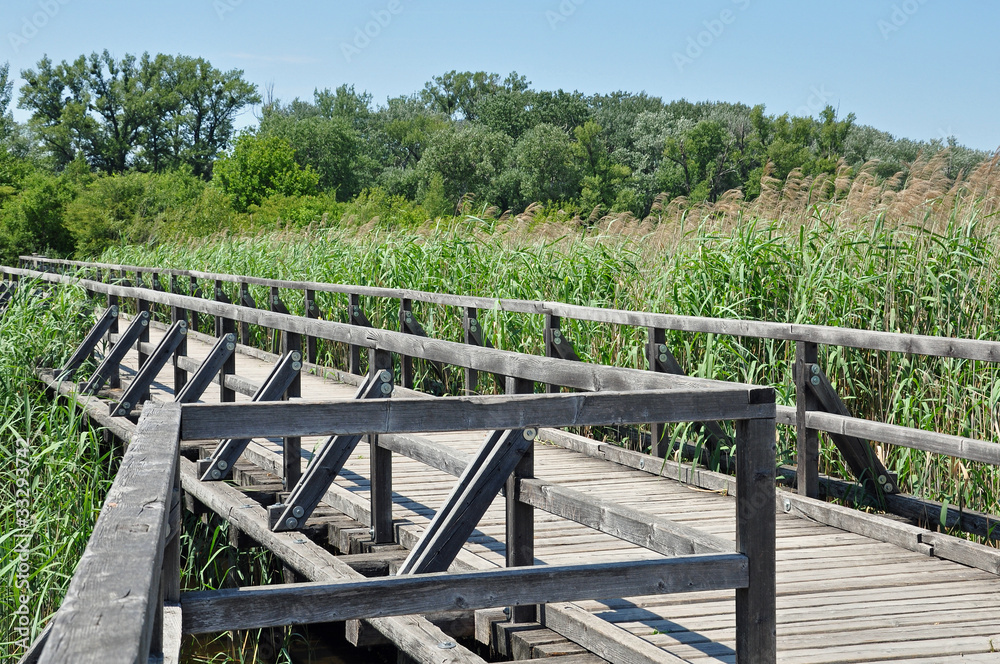 holzbrücke