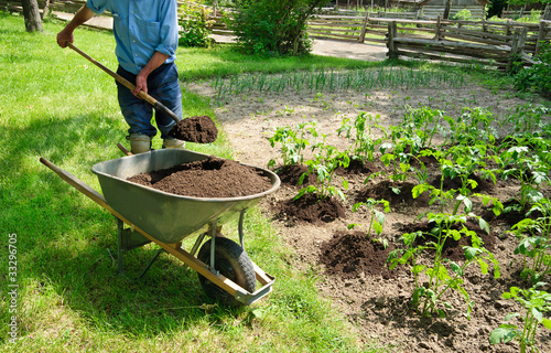 Canvas-taulu Growing Potatoes