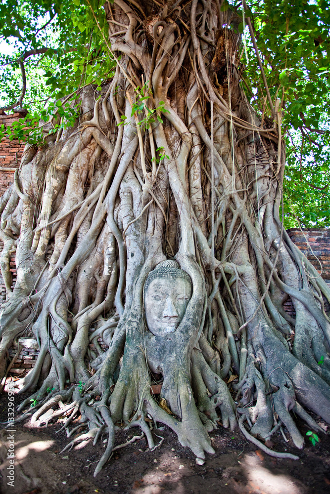 Head of Sandstone Buddha at Ayutthaya.Thailand. Head of Sandstone Buddha at Ayutthaya.Thailand.