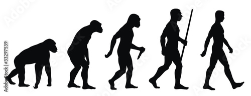 Slika na platnu Evolution
