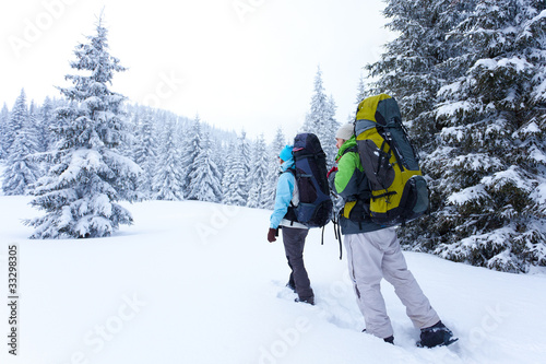 Hiker walks in snow forest