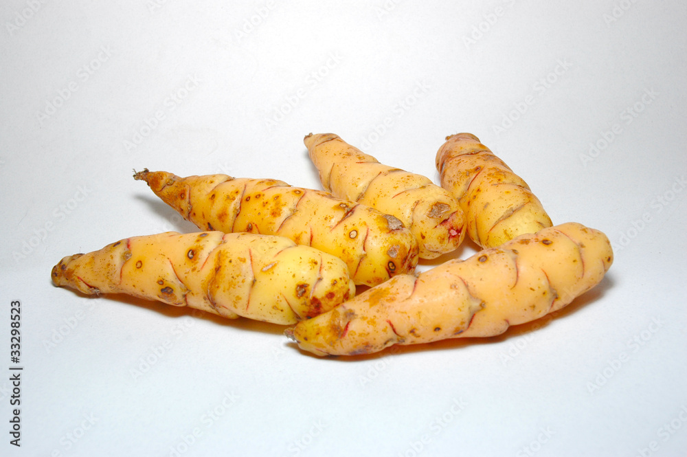 MASHUA Tropaeolum tuberosum