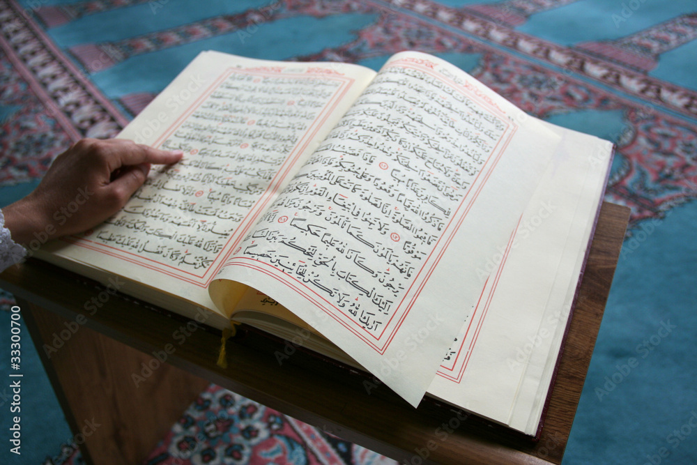 Fototapeta premium young girl reading the Koran