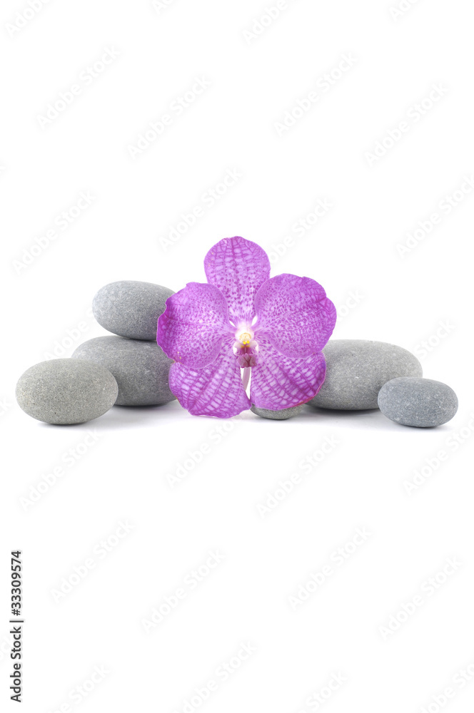 Still-life with macro of orchid on pebbles Still-life with macro of orchid on pebbles