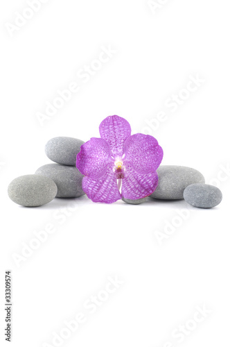 Still-life with macro of orchid on pebbles