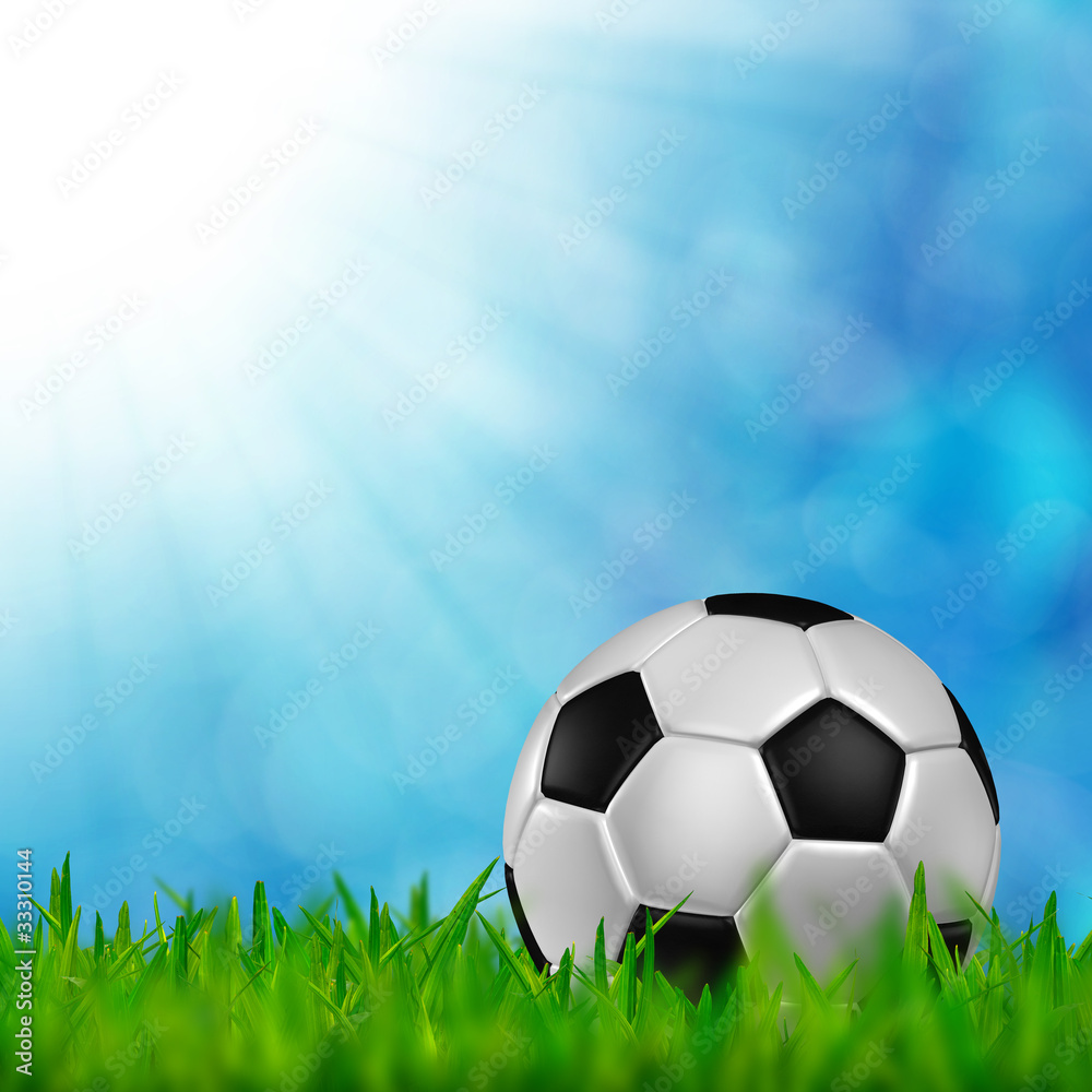 Naklejka premium football in green grass over a blue sky