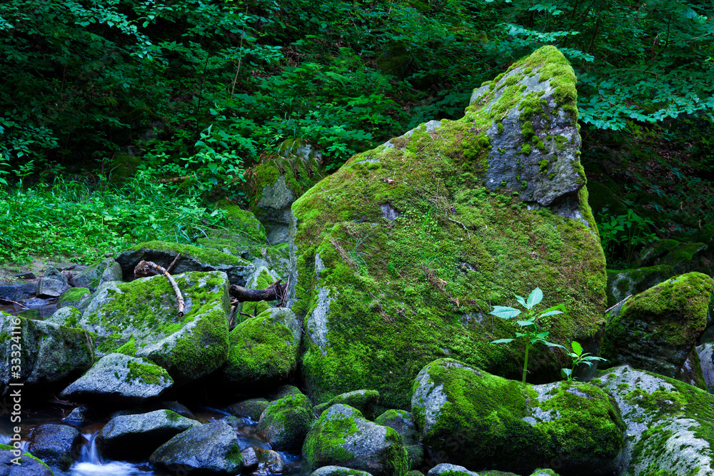 Bach in the water with stones and mountains Bach in the water with stones and mountains