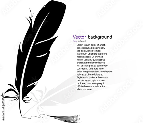 black-and-white feather backgrounds