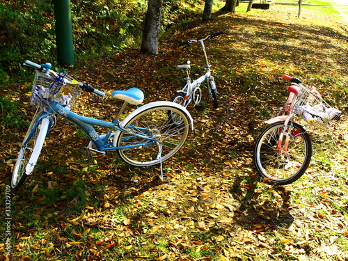 公園と自転車