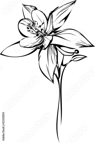 small orchid