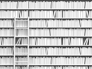 Wandcirkels Bibliotheek Boekenkast met houten ladder  © kamichou